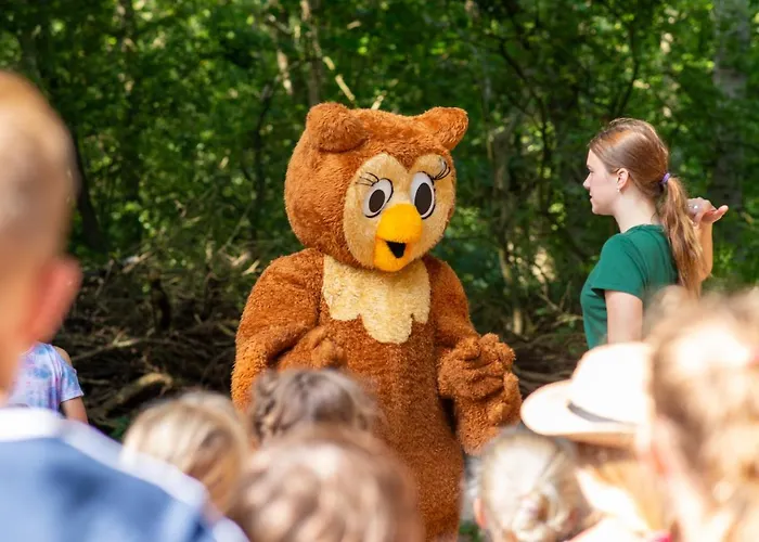 Camping Geversduin Vakantiepark *